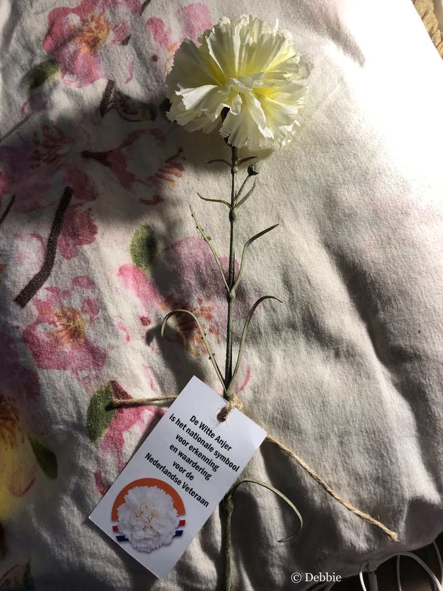 DebbieSchigt's tweet photo. Kunst Anjer gekregen
#80Jaar #Bevrijding 🕊️🇳🇱🧡
#Winterswijk #Compilatie
#Anjer #Veteranen https://t.co/XN3iRR1LaS