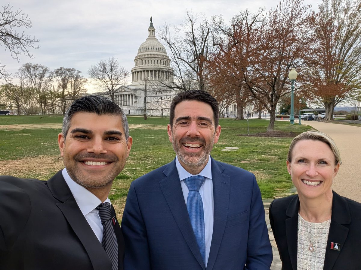 Justin Bassi tweet media