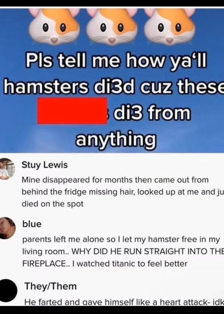 no context memes tweet media