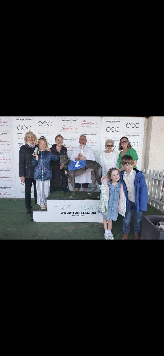 Michelle Brown greyhounds tweet media