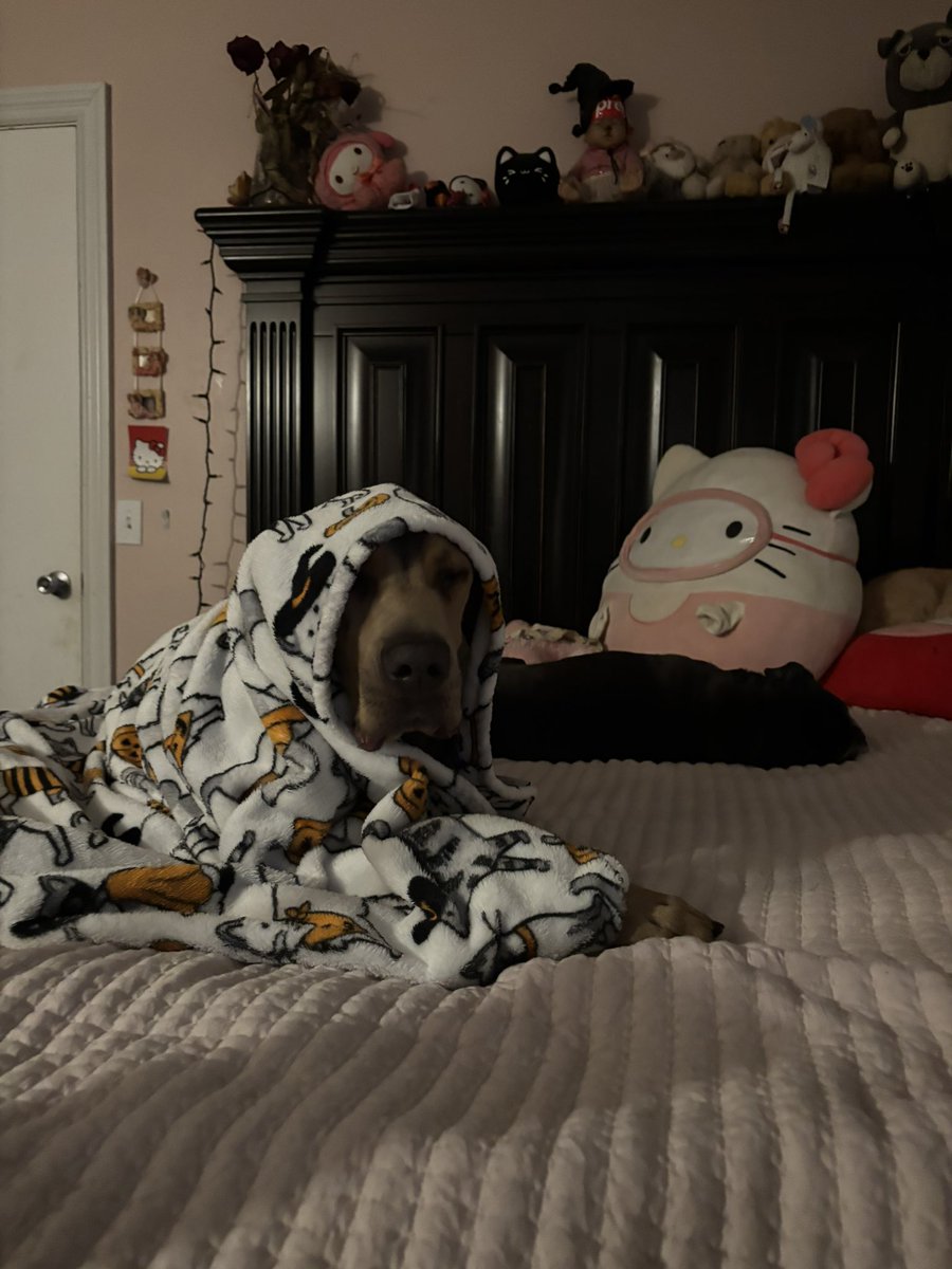 mocosnot's tweet photo. Babushka https://t.co/Da3MyHjxSU