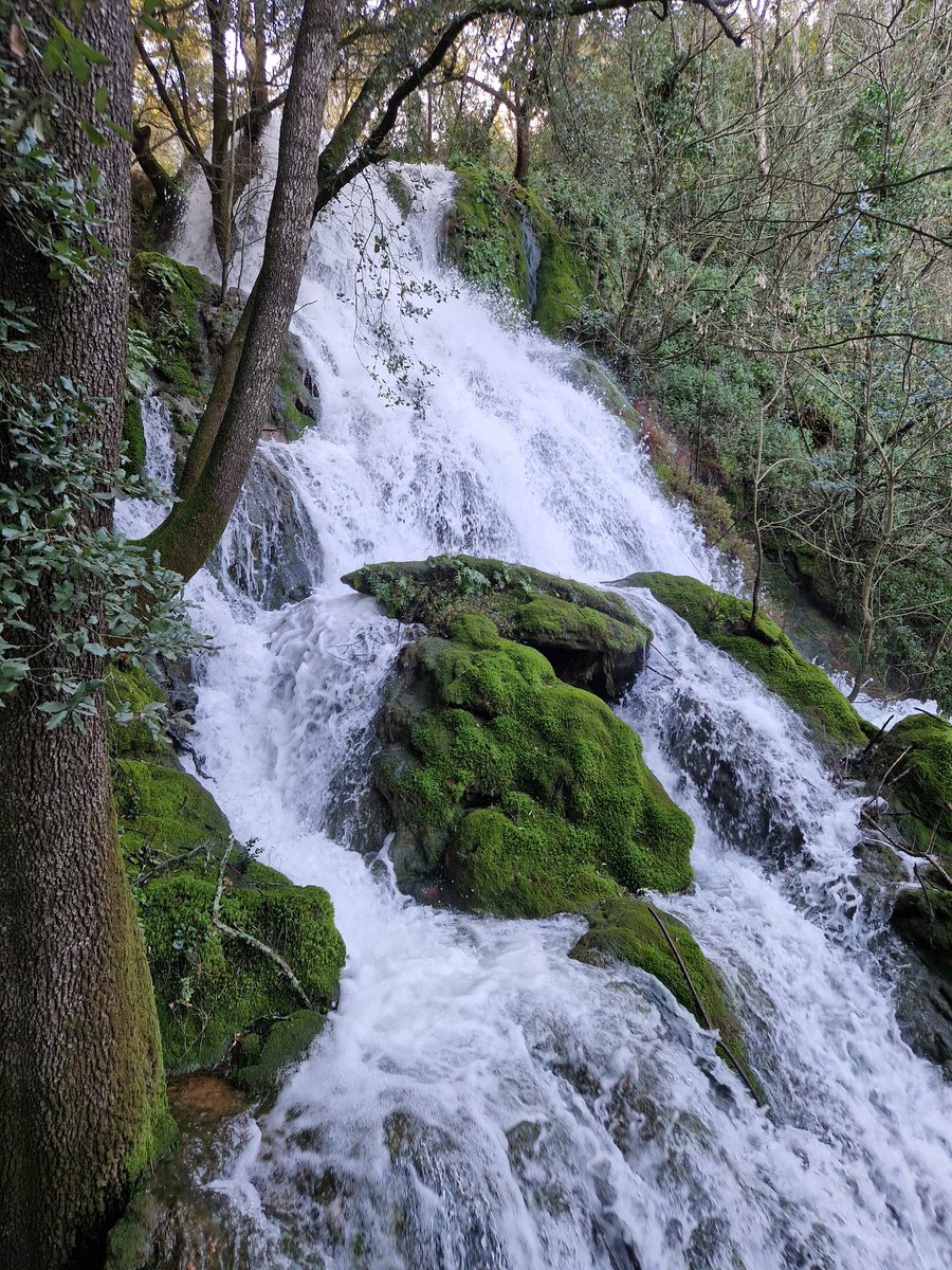 JordiBalot's tweet image. Què bonic és el nostre país! Quanta vida!
#Catalunya #Testimo