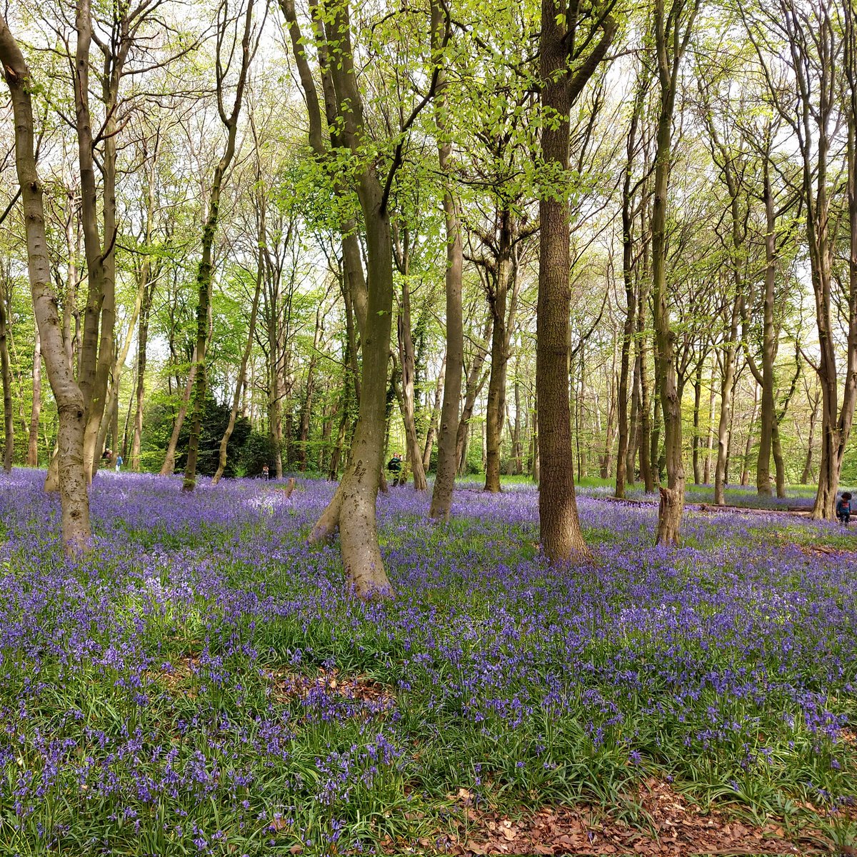 Lizzie Hughes tweet media