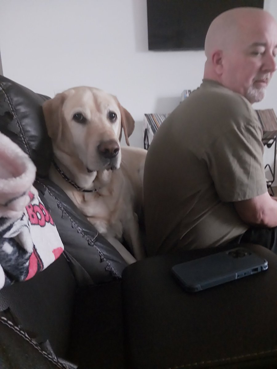 GarminNavigates's tweet image. Too much thunder, gonna hide back here where it&apos;s safe!
#thunderbuddy