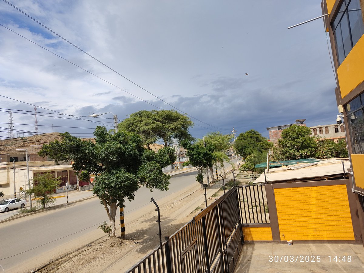 Omayra Pacheco tweet media