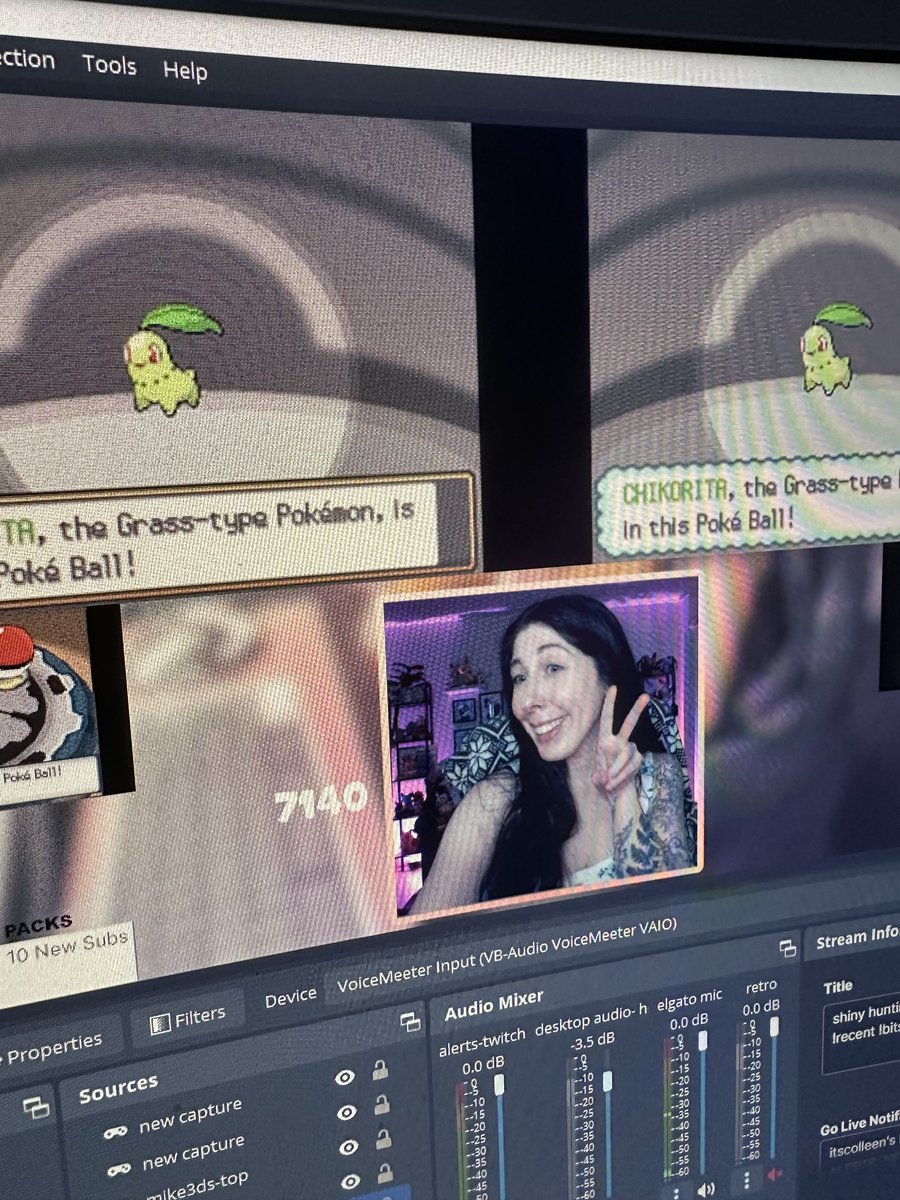 theitscolleen's tweet image. i really like cute pokemon so might as well shiny hunt the cutest pokemon ever: chikorita!!! ill probably go over odds today lol

twitch.tv/itscolleen