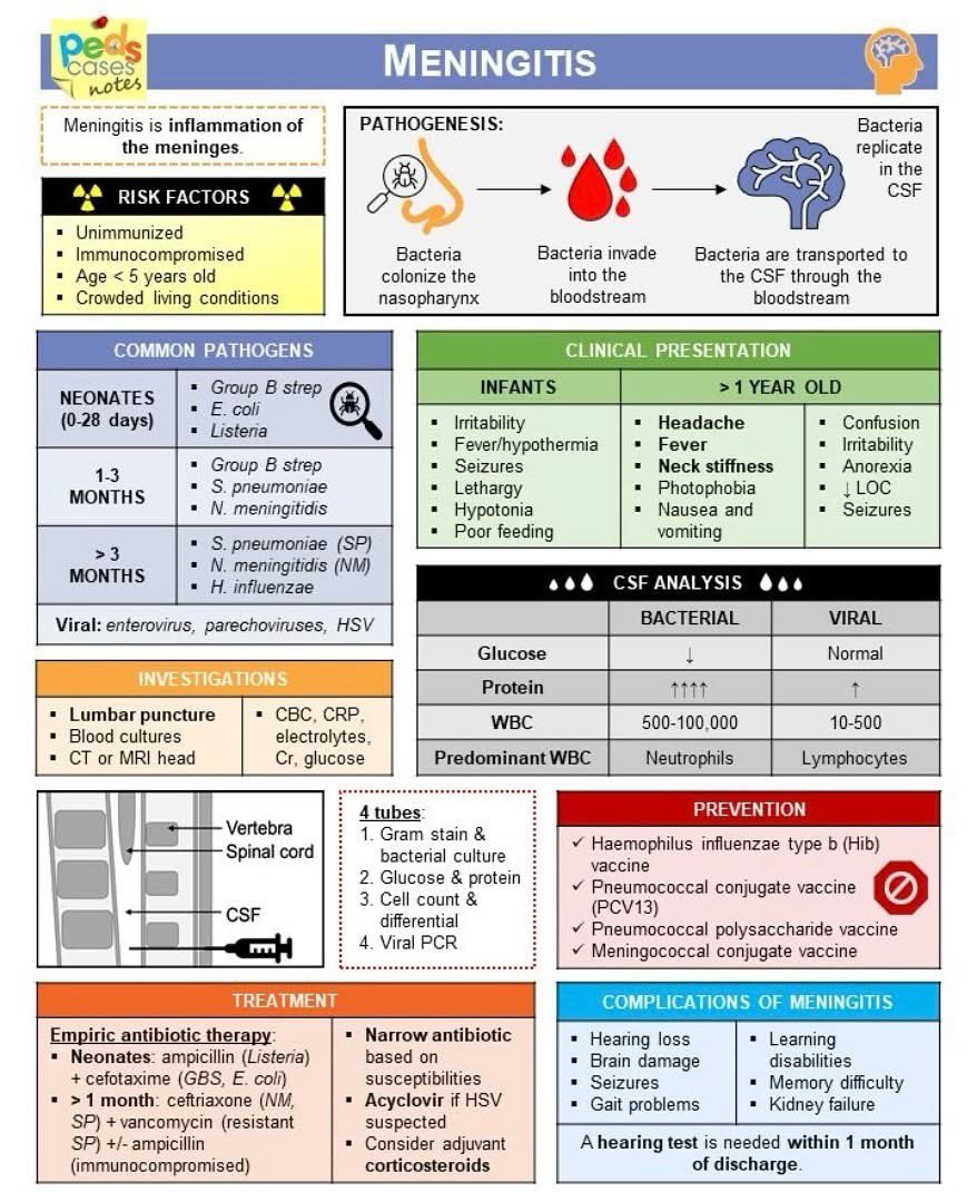 DrMedica_13's tweet image. Meningitis 🧠

@PedsCases 
☘️☘️☘️