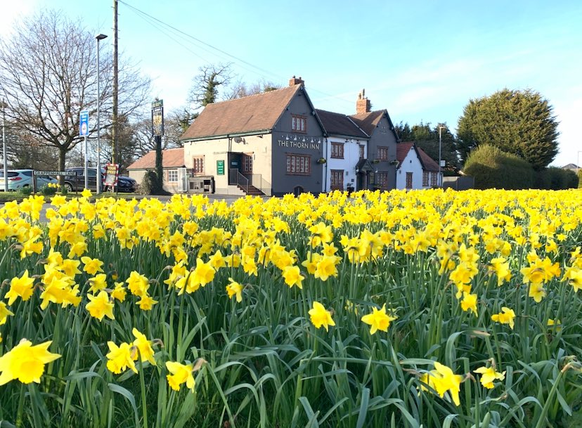 Happy #CheshireDay! 
So many lovely places to visit but you can’t beat a Sunday roast at a village pub #AppletonThorn