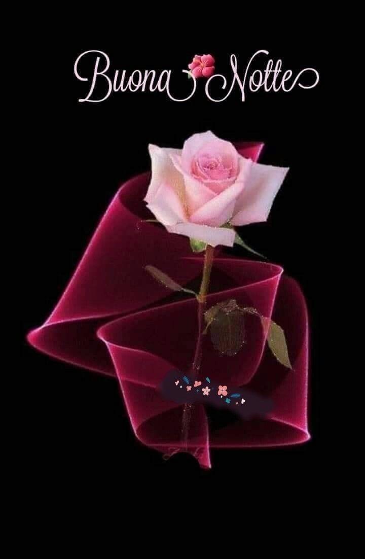 La mia Buona notte : A tutti è concesso un quarto d'ora di sana stupidità. Alcuni però poi perdono la cognizione del tempo.