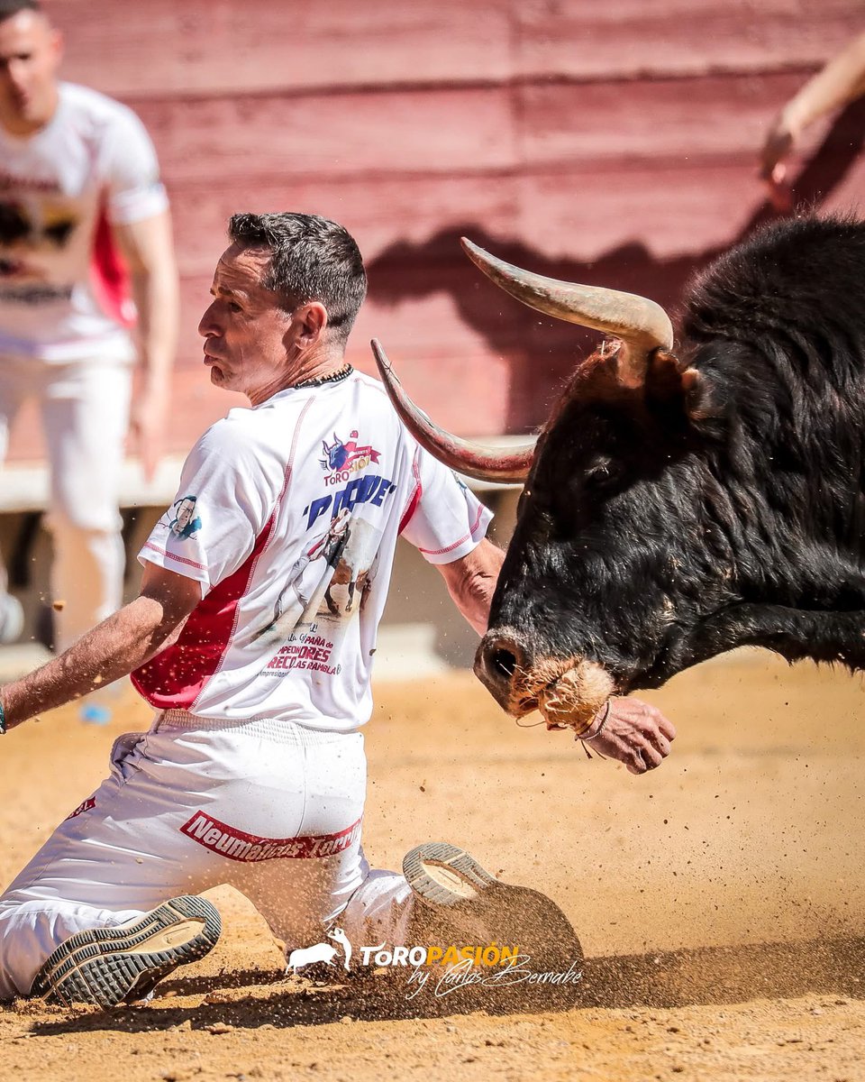 Los únicos toros en puntas que se han visto en la Feria de la Magdalena.