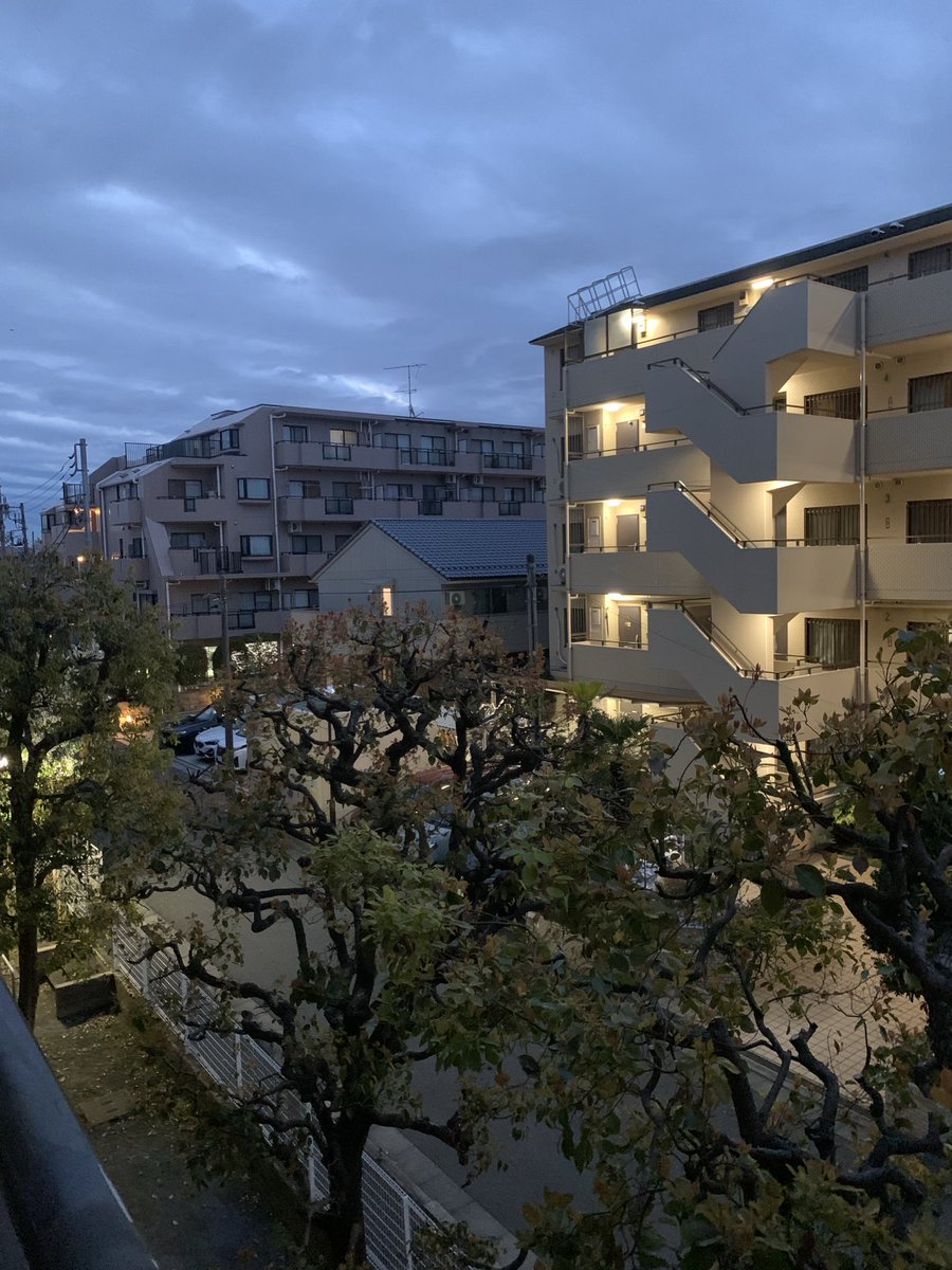 おはようございます。今日の予報は曇り時々☂️お日様は望めないかなぁ