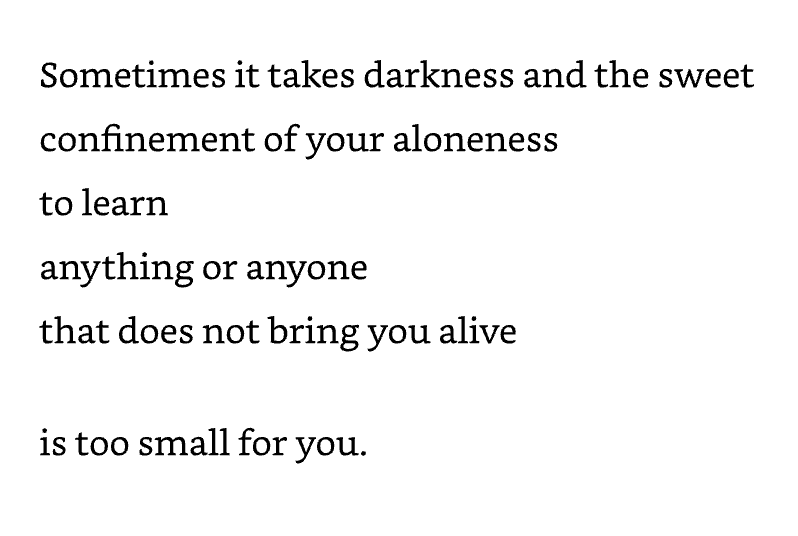 Carnivore Aurelius ©🥩 ☀️🦙 (@alpacaaurelius) on Twitter photo 