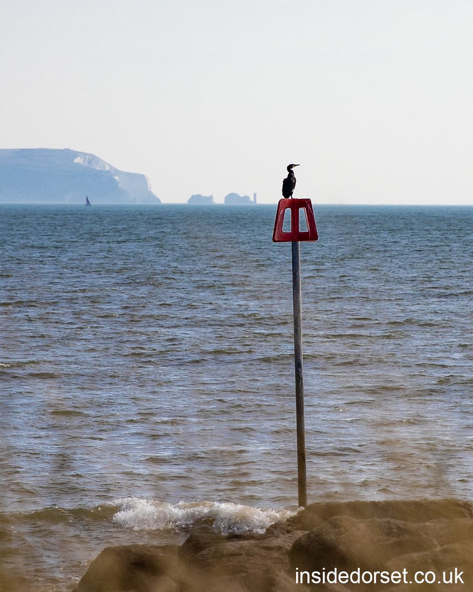 View of The Needles from Mudeford Sandbank. 

#TheNeedles #Mudeford