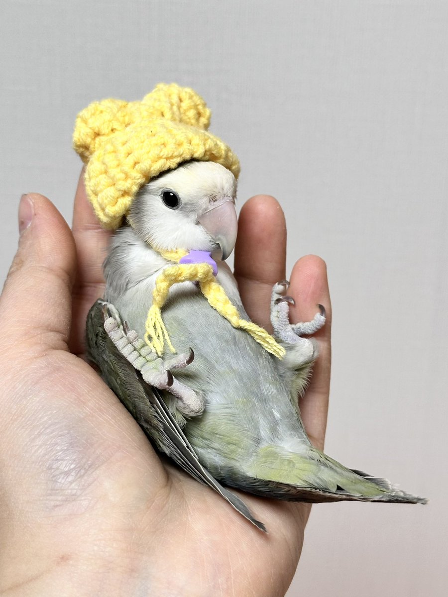 모자 쓰고 눕눕..🤍