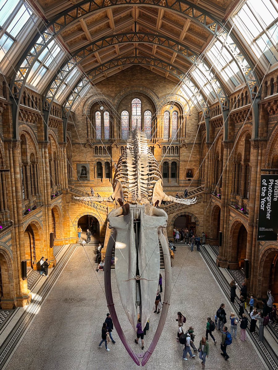 A weekend in The Big Smoke.