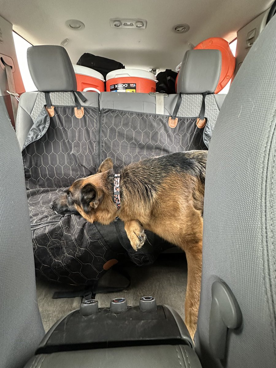 Another wonderful OCO in the books! Thanks to all our teams for a great weekend of ultimate. We’re headed home and someone is very eepy after another day of disc