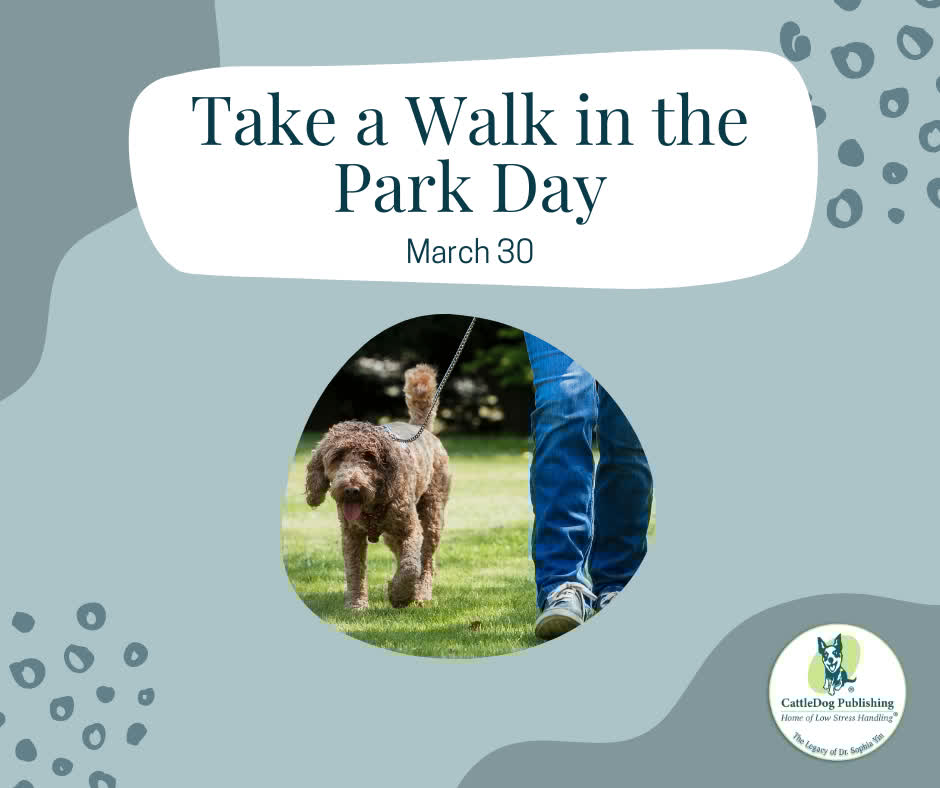 CattleDog_P's tweet image. Spend some quality time with your dog today and make it special for both of you.
#dogs #bondingwithdogs #datenight