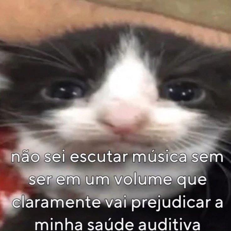 animaisfrases_'s tweet photo. https://t.co/O1kaU9noXt