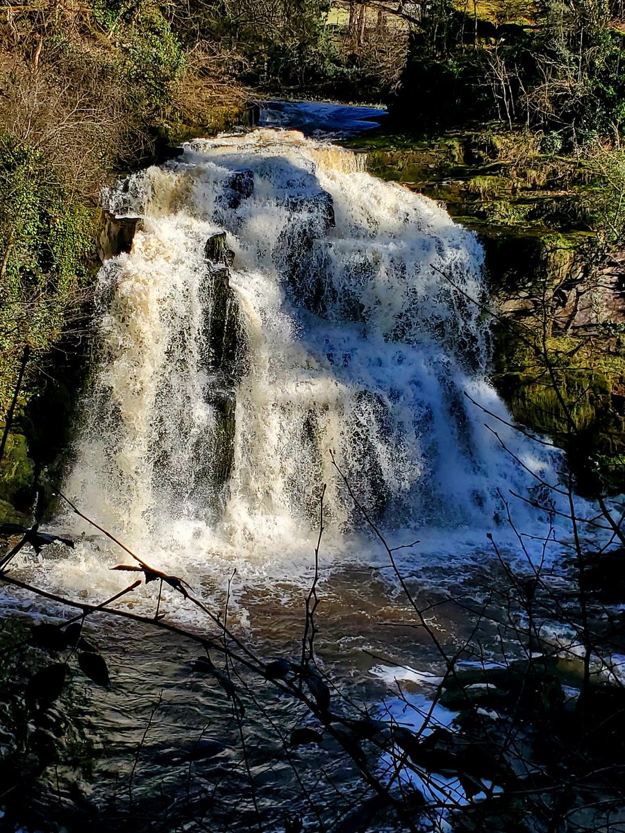 blonde_on_bikes's tweet photo. Lovely Falls of Clyde #waterfalls #hydrostation #riverclyde #corralinn #bonningtonlinn https://t.co/4zLl5SqRsS