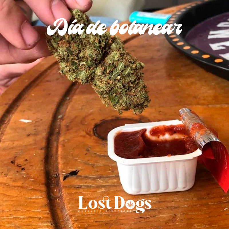 lostdogsoficial's tweet image. Dominguito de buena #MERCH en #puertovallarta #weed 
Whatsapp: 322 104 2746 Envíos a todo México. 
wa.me/3221042746