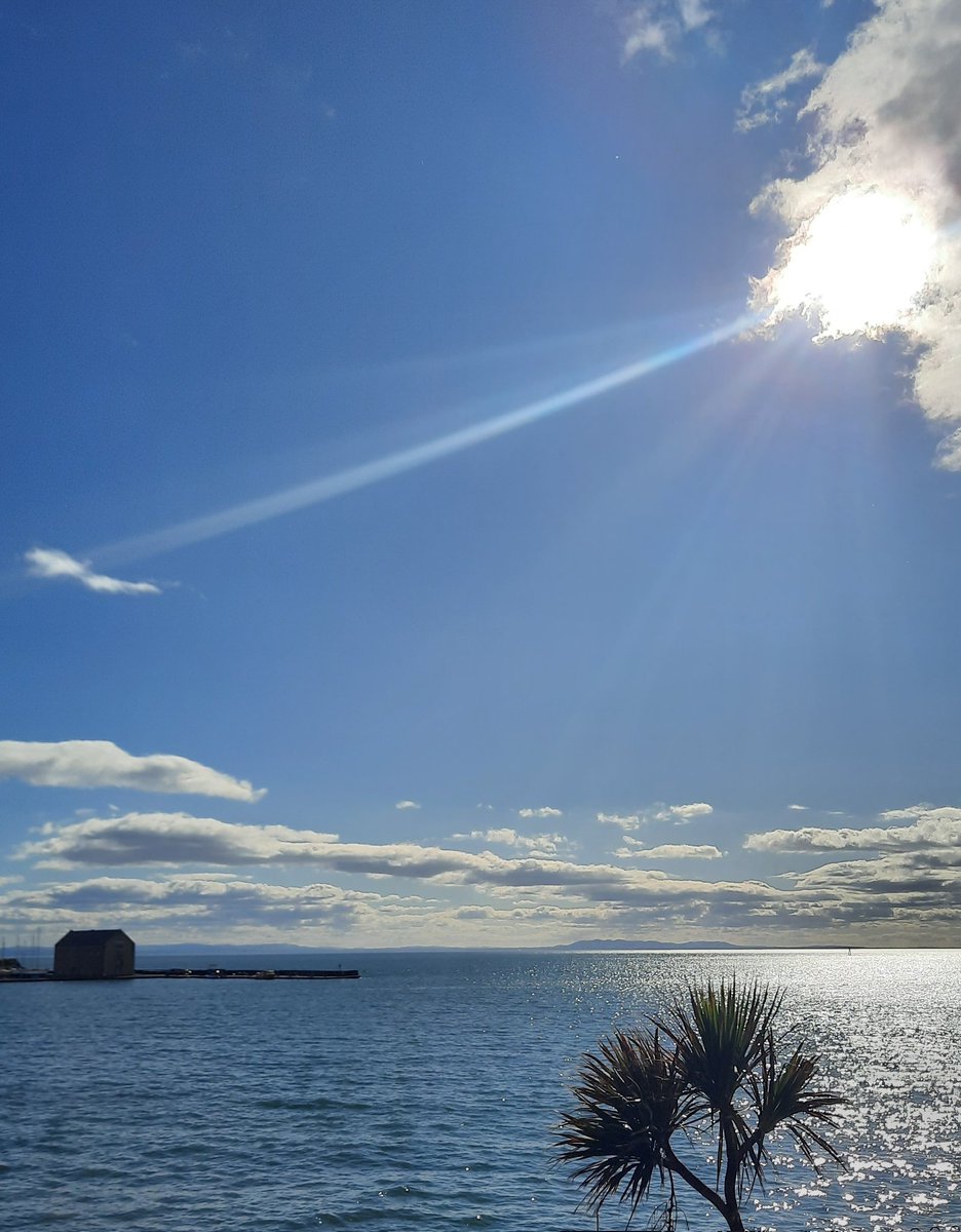 shamblesklutz's tweet photo. What a beautiful Sunday. Beach visit was a must. Think it's The Law, on days like today.
4 photos. 3 beaches.
#Elie #Shellbay #LowerLargo #Fife #EastNeuk #Scotland @VisitScotland https://t.co/QnP2fbtVh3