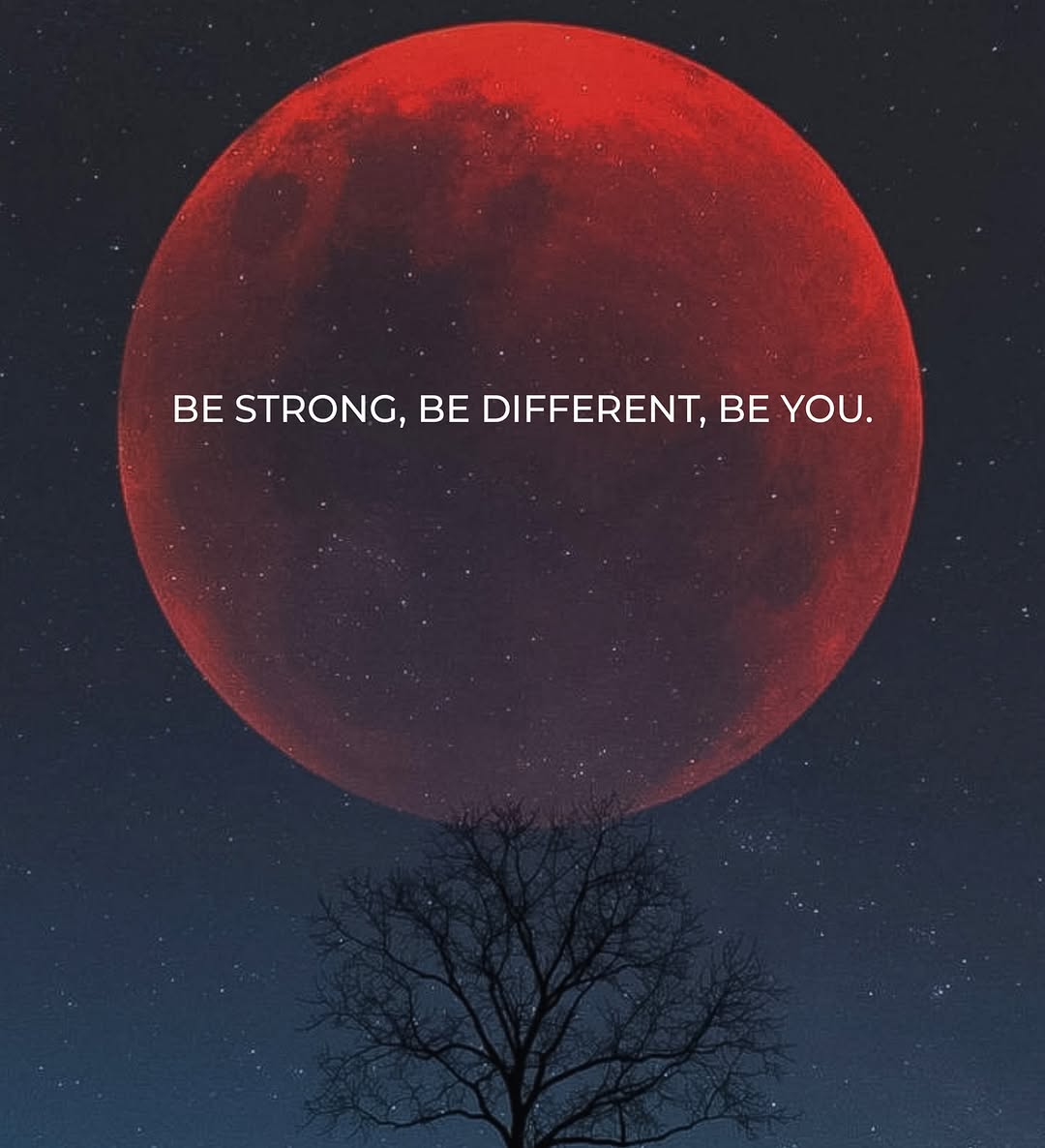 Mind Essentials (@mind_essentials) on Twitter photo  Mind Essentials (@mind_essentials) on Twitter photo