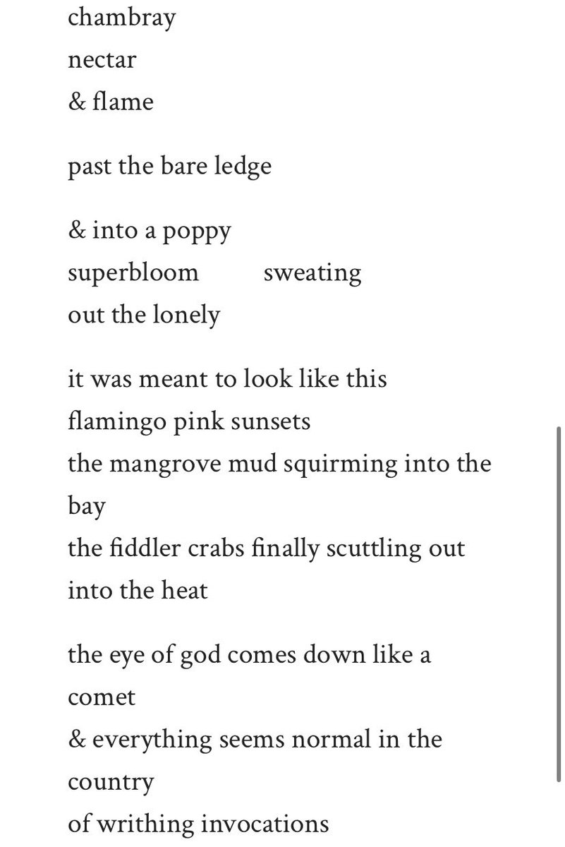 WK_Collins's tweet photo. My new poem “Or: islands get flown-over in intermittent beats” now out in issue 11 of @rockpaperpoem 💖: https://t.co/qza31hUDd2 https://t.co/SZcmZbZjHV