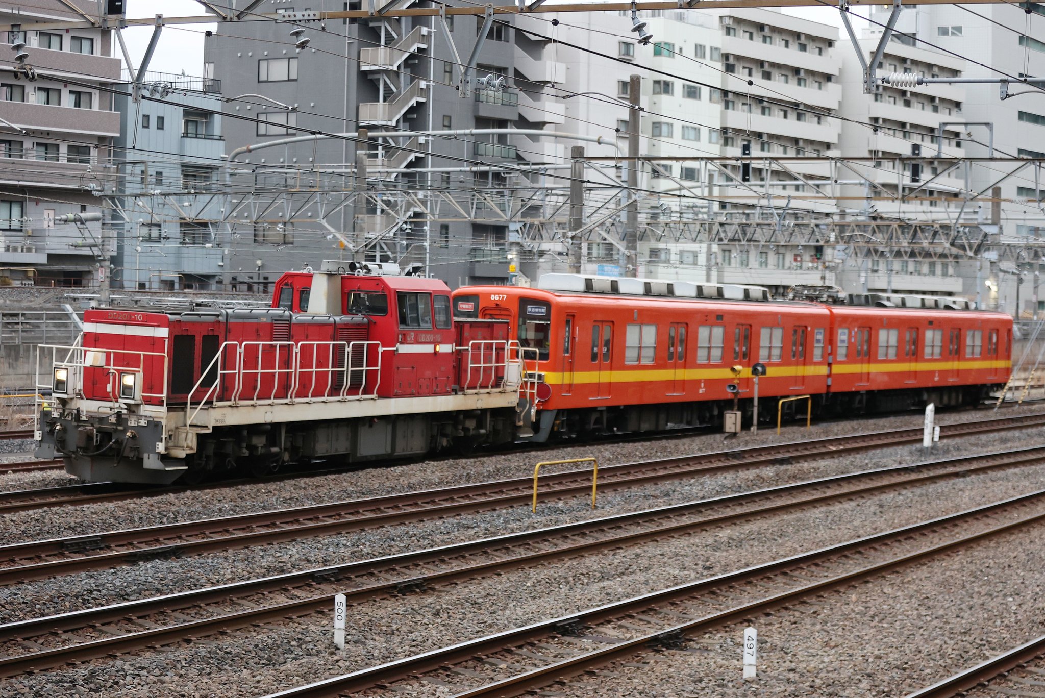 どーなつ on X: どーなつ on X: