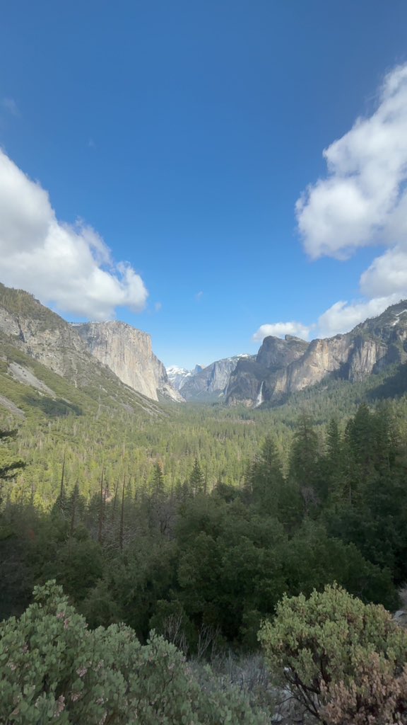 Pauly McGruder tweet media