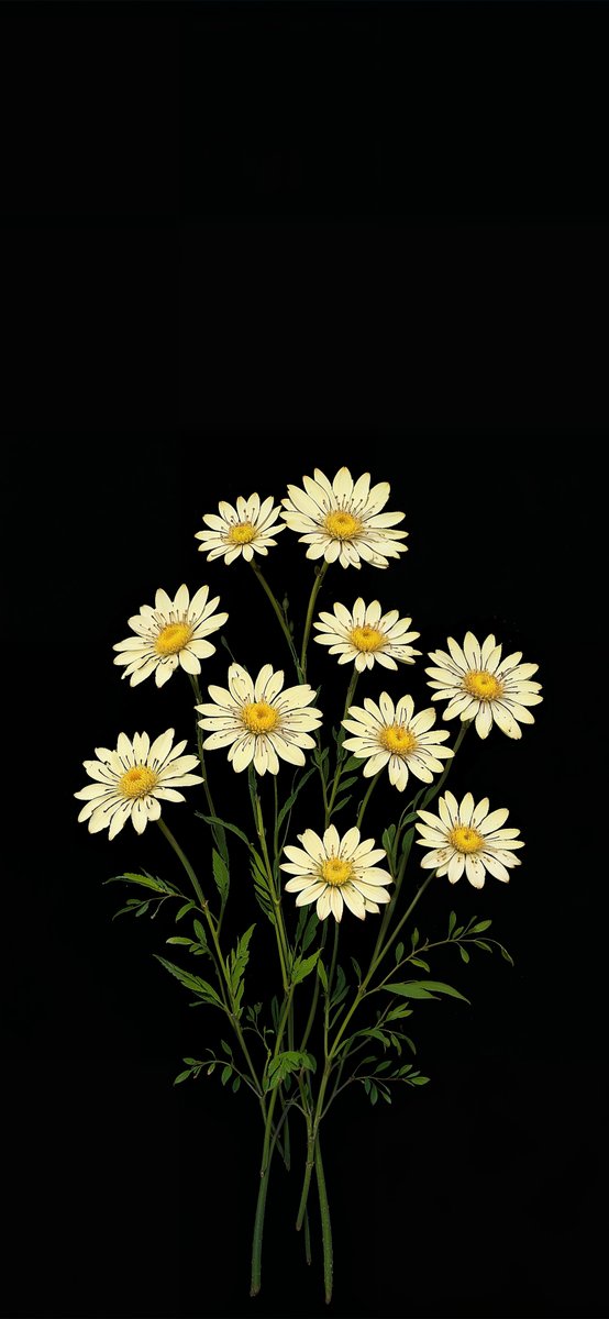 Wildflower 🌼