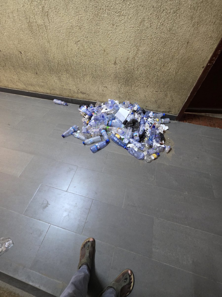 Litsani Choukran tweet media