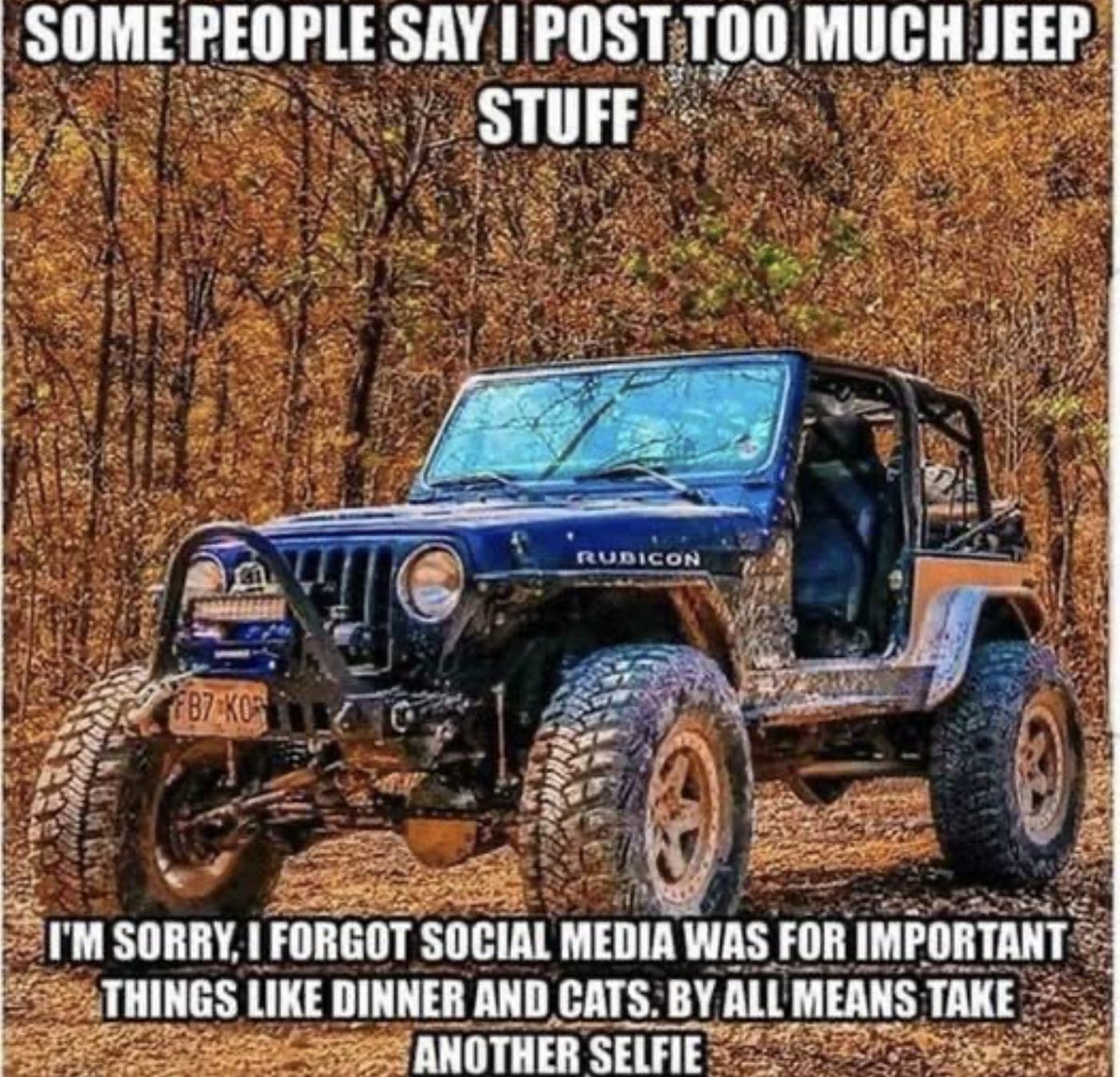 Candy Cats (@candycats357) on Twitter photo 