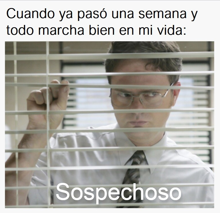 Efrén Méndez 🐻 tweet media