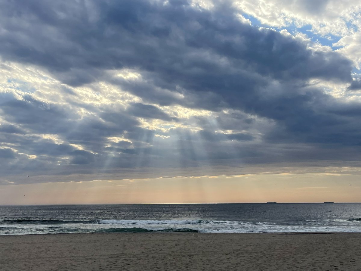 Jen Dellett tweet media