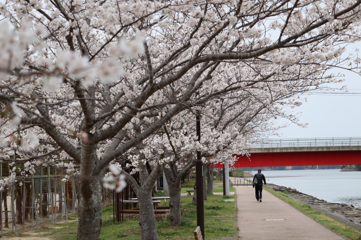 カンタ tweet media