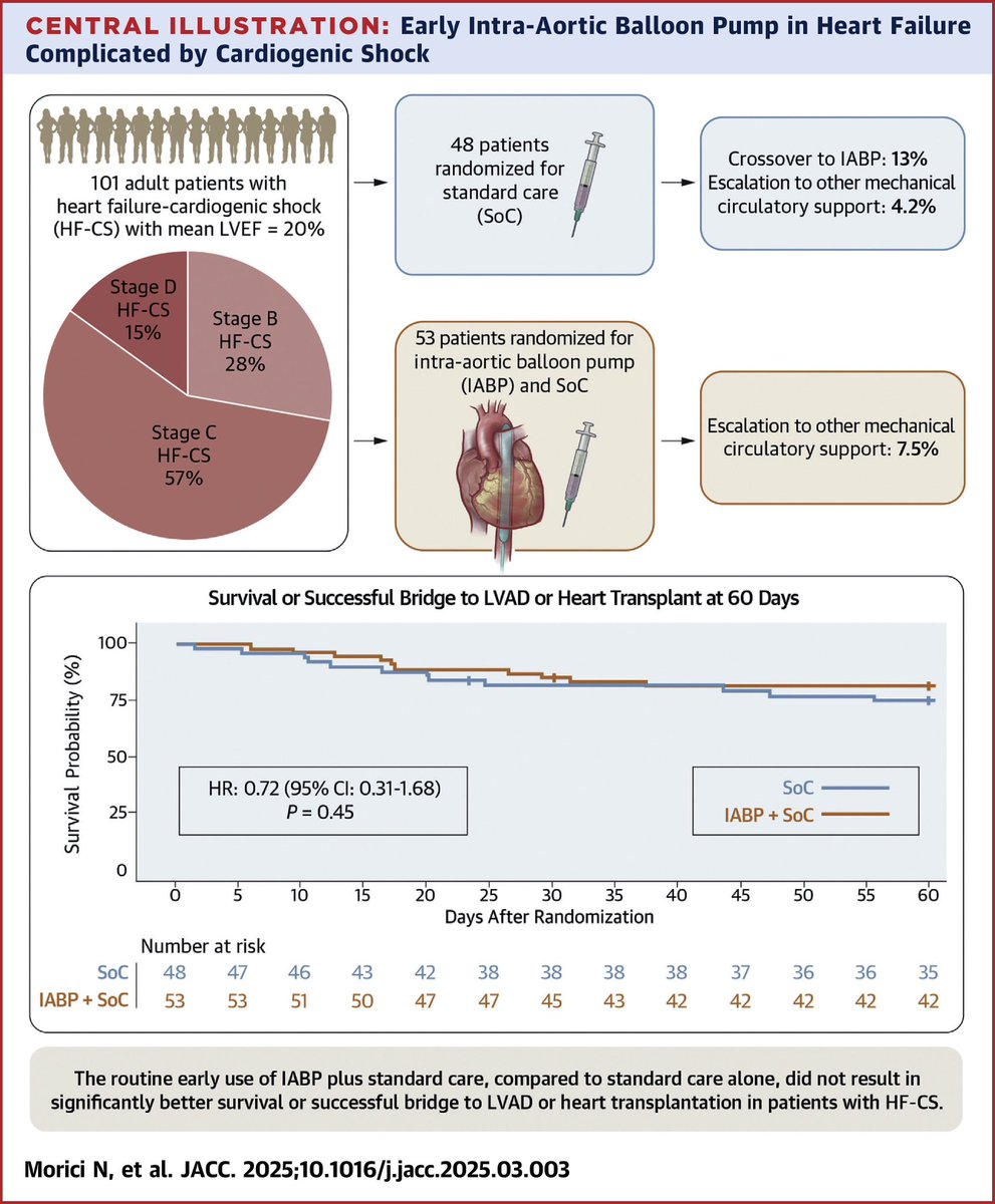 Raffaele Piccolo (@piccoloraf) on Twitter photo No benefit from #IABP in a small randomized trial including HF-related cardiogenic shock. Another nail in the coffin for #IABP - #ACC2025 <a href="/thiele_holger/">Holger Thiele</a> <a href="/DrAmirKaki/">Amir Kaki, MD</a> <a href="/Babar_Basir/">Babar Basir</a> <a href="/mmamas1973/">Mamas A. Mamas</a> <a href="/mirvatalasnag/">MIЯVΛƬ #IC</a> <a href="/djc795/">David J. Cohen, MD, MSc</a> <a href="/PCRonline/">PCRonline 🫀</a> <a href="/ACCinTouch/">American College of Cardiology</a> <a href="/AHAScience/">AHA Science</a> <a href="/SCAI/">SCAI</a> <a href="/escardio/">European Society of Cardiology</a> <a href="/JACCJournals/">JACC Journals</a> No benefit from #IABP in a small randomized trial including HF-related cardiogenic shock. Another nail in the coffin for #IABP - #ACC2025 <a href="/thiele_holger/">Holger Thiele</a> <a href="/DrAmirKaki/">Amir Kaki, MD</a> <a href="/Babar_Basir/">Babar Basir</a> <a href="/mmamas1973/">Mamas A. Mamas</a> <a href="/mirvatalasnag/">MIЯVΛƬ #IC</a> <a href="/djc795/">David J. Cohen, MD, MSc</a> <a href="/PCRonline/">PCRonline 🫀</a> <a href="/ACCinTouch/">American College of Cardiology</a> <a href="/AHAScience/">AHA Science</a> <a href="/SCAI/">SCAI</a> <a href="/escardio/">European Society of Cardiology</a> <a href="/JACCJournals/">JACC Journals</a>