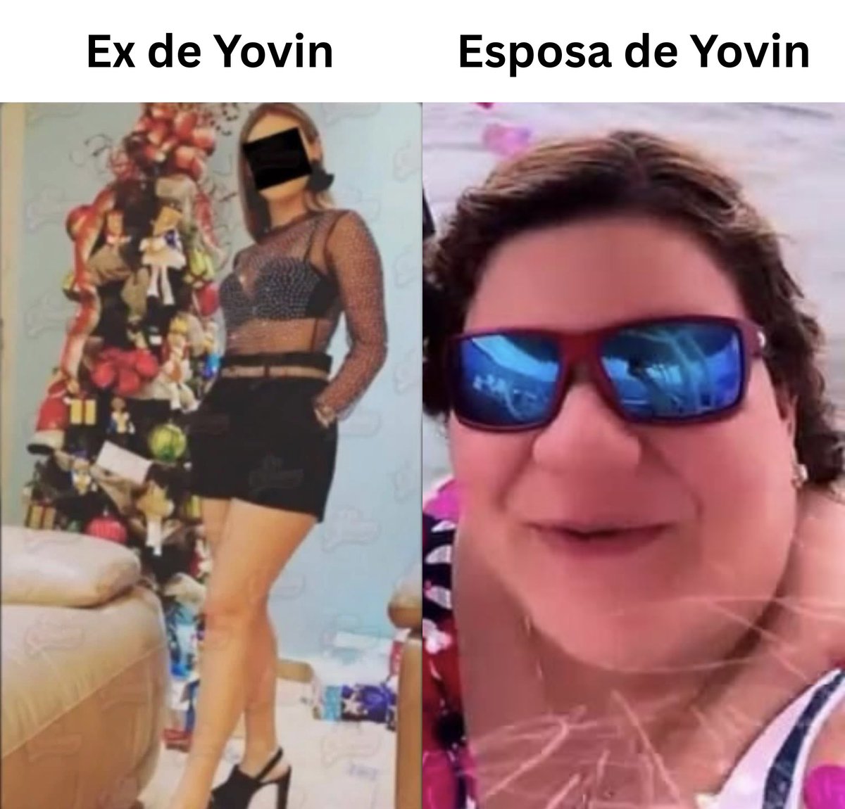 Departamento de Memes 🇵🇷 tweet media
