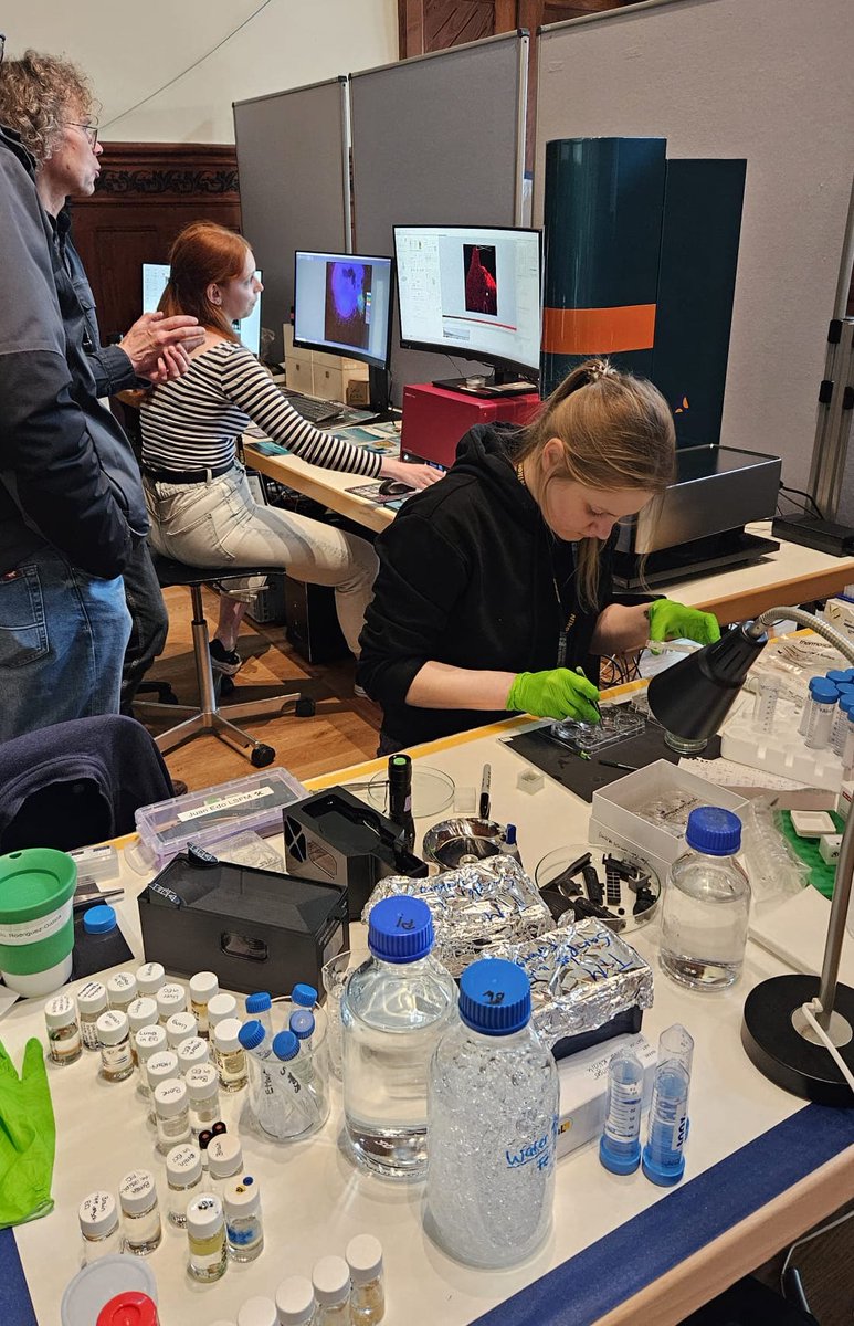 Clara Hayn (@chaynorganos) on Twitter photo Thrilled having joined #TiM2025, diving into cutting-edge #microscopy & #imageanalysis! Honoured to have supported the workshop on light sheet #fluorescence expansion microscopy from <a href="/JuanEdoRG/">Juan Edo Rodriguez</a> for whole-mount #imaging of my marvellous brain #organoids! 🔬🥳 #LSFM #ExM <a href="/GerBI_GMB/">German BioImaging</a> Thrilled having joined #TiM2025, diving into cutting-edge #microscopy & #imageanalysis! Honoured to have supported the workshop on light sheet #fluorescence expansion microscopy from <a href="/JuanEdoRG/">Juan Edo Rodriguez</a> for whole-mount #imaging of my marvellous brain #organoids! 🔬🥳 #LSFM #ExM <a href="/GerBI_GMB/">German BioImaging</a>