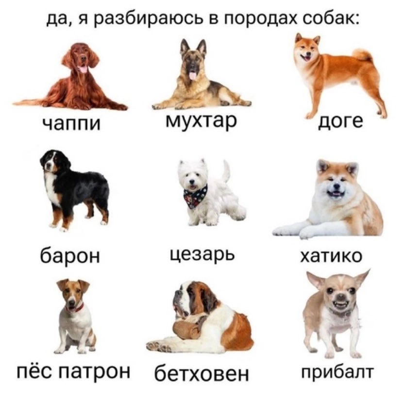 bahit1307's tweet photo. https://t.co/1wNb38wOGl