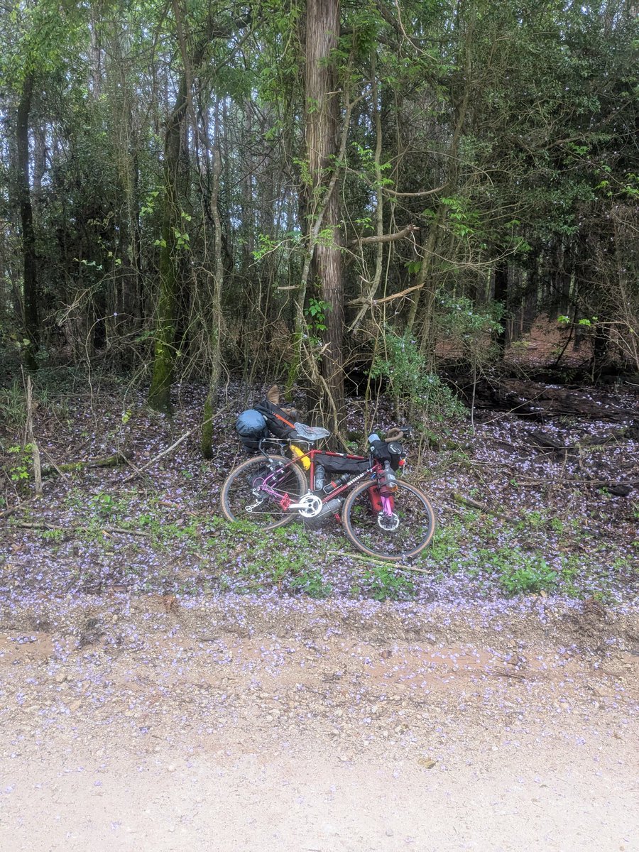 NorthlineLex tweet media