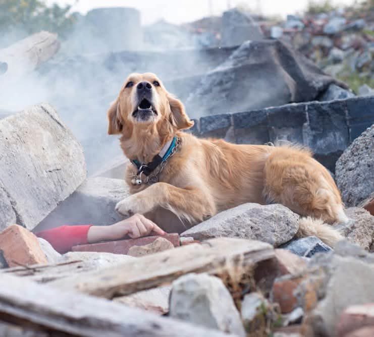 K9 ฮีโร่ ของนุด 🐶