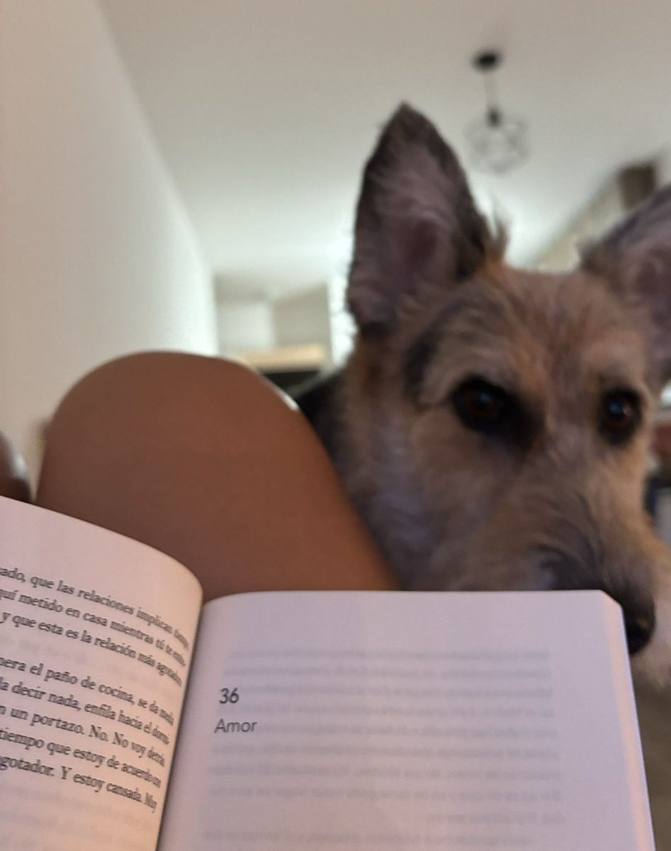 feerlud's tweet photo. Los domingos de vivir despacio https://t.co/9dTPJwFTyw
