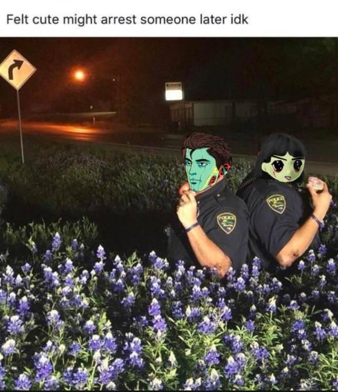 With <a href="/Dragardio/">Drago</a>