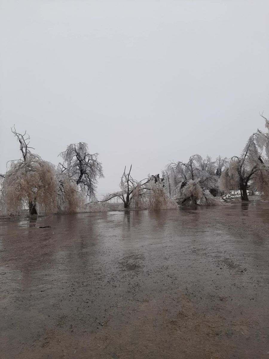 IMPORTANT NOTICE – State of Emergency in Oro-Medonte - CAMP SOKIL PROPERTY CLOSED - mailchi.mp/unfcanada/impo…