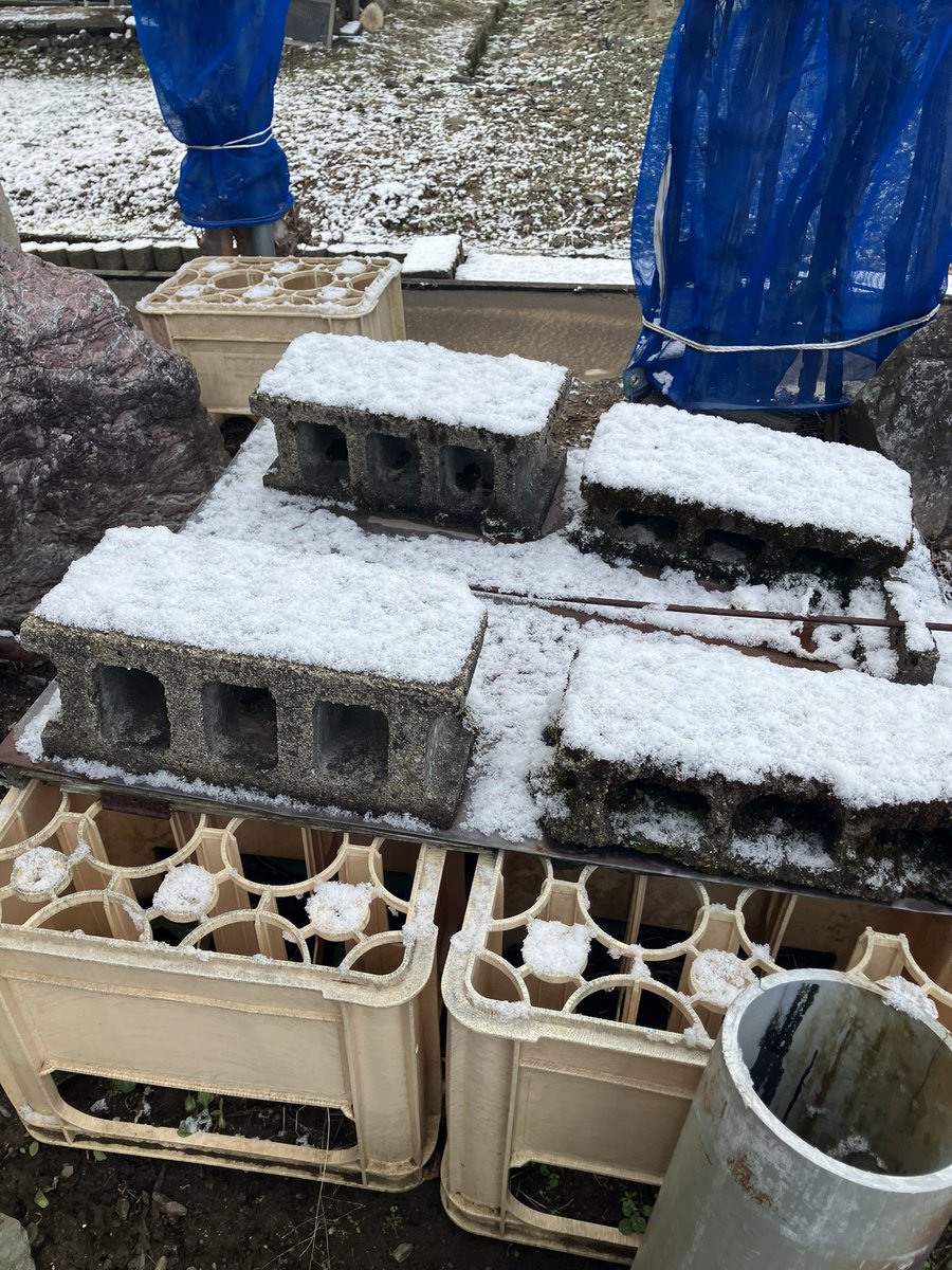 4219Or's tweet photo. 起きたら雪積もってるんだけどもう4月だぞ https://t.co/eP4rMsEqsQ