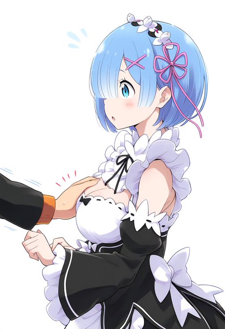 大きさ比べ…

レム 