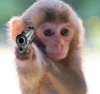 KG🖤⃝🦋 tweet media