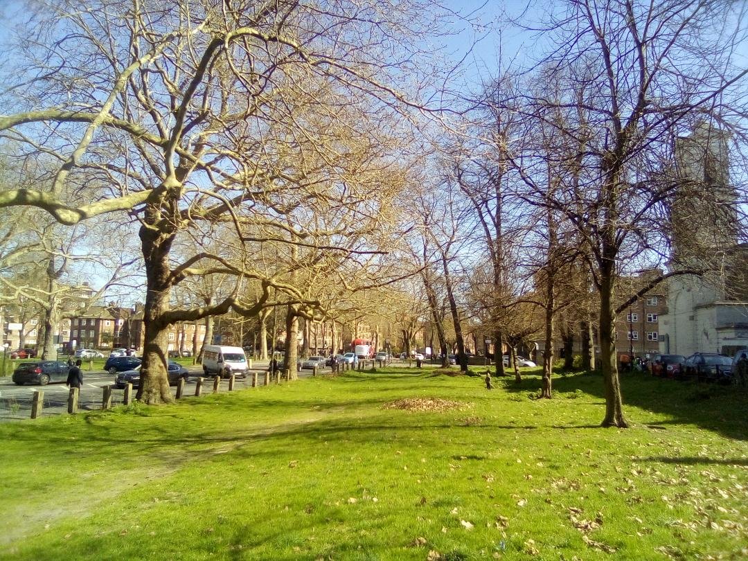 SPUGHackney's tweet image. Great little pick up session in Clapton Common @SPUGHackney Secretary @sartain_stephen "Big Thank you to Lisa for leading and everyone who came to help keep our beautiful Clapton Common  clean @hackneycouncil Parks Staff; Come and visit  Springfield park and Clapton Common"