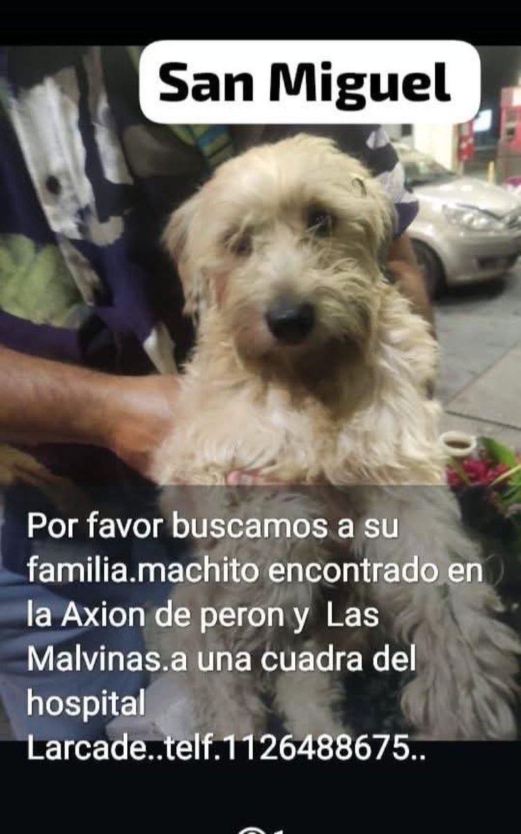 BalzaClarita's tweet photo. https://t.co/ktT8kdFzKb
