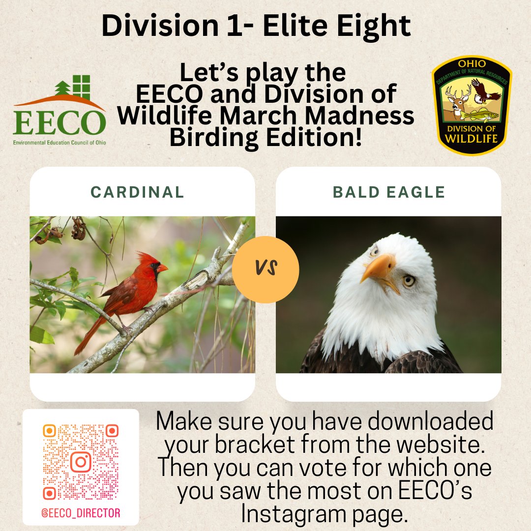 directorEECO's tweet image. Look who made it to the ELITE EIGHT Vote for who will make it to the FINAL FOUR! Play along and let us know which bird you saw more by voting on our Instagram page. 
Our March Madness Bird Brackets: eeco.wildapricot.org/page-1786411

#getoutside #marchmadnessbirdbracket #BirdingFun
